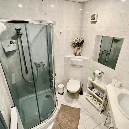 Buda Center Apartments * 부다페스트